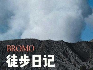 狩猎时刻：火山生态的深度解析与探索