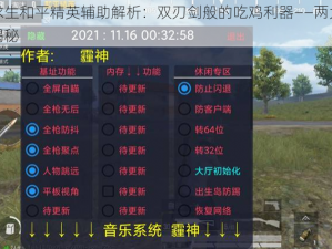 绝地求生和平精英辅助解析：双刃剑般的吃鸡利器——两大核心功能揭秘