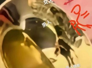 黑料不打烊吃瓜爆料反差婊—黑料不打烊深挖反差婊的秘密，吃瓜爆料独家呈现