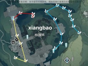 鸣潮灯笼果采集攻略：探寻最佳采摘路线，揭秘鸣潮灯笼果的采集地点与技巧