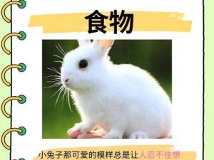 女生的小兔兔吃起来什么口感(女生的小兔兔吃起来什么口感？)