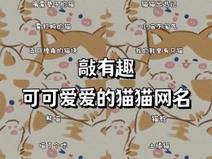 猫咪www最新地域网名怎么取海外 如何在海外取猫咪 www 最新地域网名