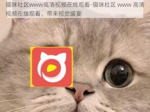 猫咪社区www高清视频在线观看-猫咪社区 www 高清视频在线观看，带来视觉盛宴