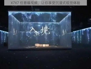 X7X7 任意噪视频，让你享受沉浸式视觉体验