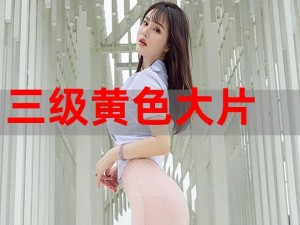 三级片AAA;三级片 AAA：揭示成人影片界的秘密