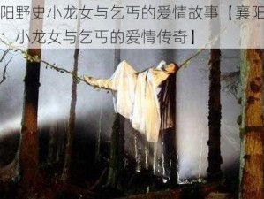 襄阳野史小龙女与乞丐的爱情故事【襄阳野史：小龙女与乞丐的爱情传奇】