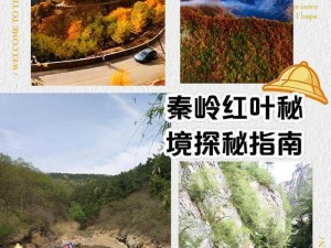 长安幻世探秘秦岭秘境：攻略与技巧揭秘，领略奇幻自然风光之旅