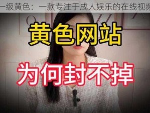 美国一级黄色：一款专注于成人娱乐的在线视频平台