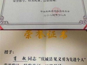 武胜三人英勇行为获见义勇为奖励：彰显社会正能量，致敬英雄之举