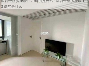 深圳合租房康康1-20讲的是什么—深圳合租房康康 1-20 讲的是什么