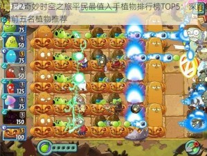 植物大战僵尸2奇妙时空之旅平民最值入手植物排行榜TOP5：深度解析值得平民拥有的前五名植物推荐