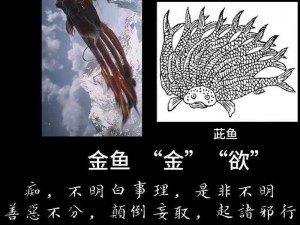 黑神话悟空身本忧：选择策略深度解析与根器身本忧之探讨推荐，塑造最优决策之旅