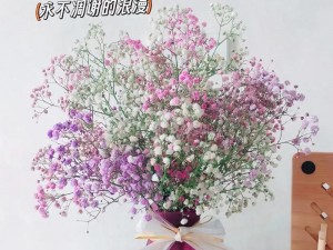 满天星 24 集精品天然干花花束，浪漫满屋