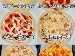 披萨第九天攻略分享：如何制作美味披萨，享受独特口感体验