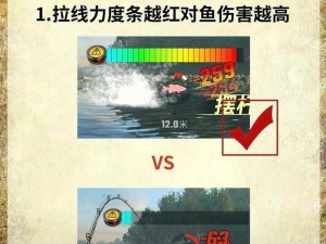 欢乐钓鱼大师锦标赛攻略宝典：钓鱼技巧、比赛策略与赢取荣誉的指南