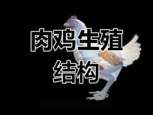 家禽养殖之久禁不破：深入解析家禽饲养的长期禁忌与策略