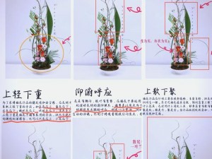 紫龙插花芯、如何评价紫龙插花芯的行为？