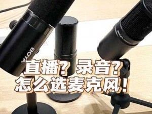 孤岛先锋语音开黑指南：揭秘麦克风标志背后的交流秘籍