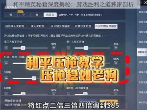 和平精英秘籍深度揭秘：游戏胜利之道独家剖析