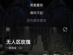 无人区玫瑰mv和一颗狼星相似;无人区玫瑰 MV 与一颗狼星有何相似之处？