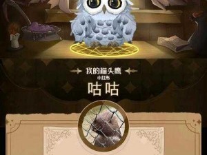 哈利波特魔法觉醒：猫头鹰的神秘使命与重要作用介绍