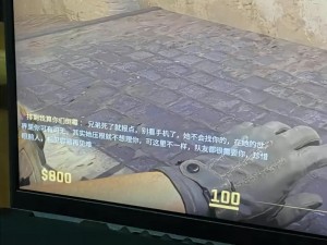 小孩暴躁少女csgo视频—暴躁少女打 CSGO 被队友气到摔耳机，你见过吗？