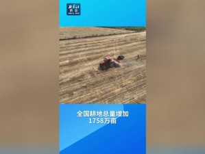 中国XXXXXL18(中国 XX 万平方公里的壮丽山河，18 亿亩耕地红线守护着粮食安全)