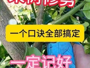 关于珊瑚岛果树管理：如何合理砍伐不再需要的果树？