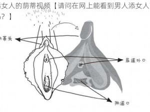 男人添女人的荫蒂视频【请问在网上能看到男人添女人荫蒂的视频吗？】