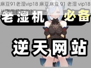 麻豆麻豆91老湿vip18 麻豆麻豆 91 老湿 vip18 的资源是从哪里获取的？