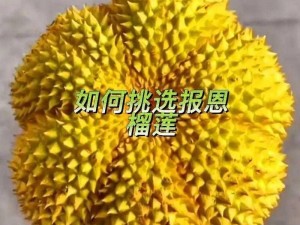 麻豆榴莲茄子草莓丝瓜富二代_麻豆榴莲茄子草莓丝瓜富二代的真实身份是什么？