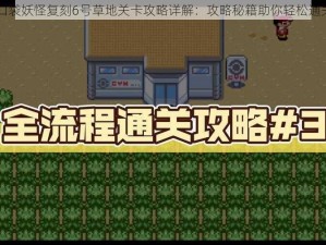 口袋妖怪复刻6号草地关卡攻略详解：攻略秘籍助你轻松通关