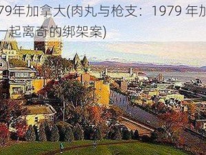 肉丸1979年加拿大(肉丸与枪支：1979 年加拿大魁北克省一起离奇的绑架案)