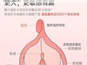 乳喷系列AV_乳喷系列 AV：探究女性性反应的奥秘