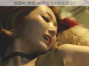 韩国AV;韩国 AV 产业为何如此发达？