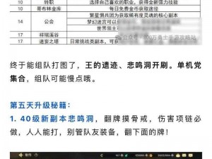 恶魔不要啊手游新手极速成长攻略：解锁升级秘籍，迅速成为高手玩家