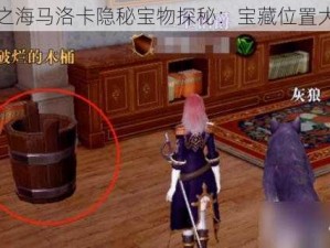 黎明之海马洛卡隐秘宝物探秘：宝藏位置大揭秘