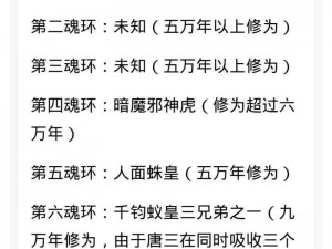 斗罗大陆白虎最佳魂环搭配：揭秘白虎最强魂环组合与搭配策略