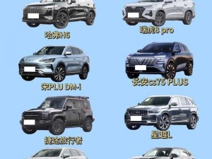 国产SUV精品一区二区—国产 SUV 精品一区二区，高品质座驾的不二之选