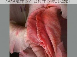 HDHDHD39XXXXХ、HDHDHD39XXXXХ是什么？它有什么特别之处？