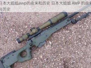 日本大姐姐awp的由来和历史 日本大姐姐 AWP 的由来与历史