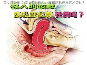 美女禁处图片 美女禁处图片：窥探隐私还是艺术表达？