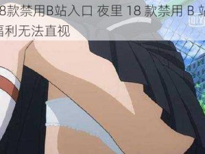 夜里18款禁用B站入口 夜里 18 款禁用 B 站入口，深夜福利无法直视