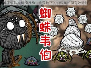 地下蜘蛛巢清理行动：饥荒地下的蜘蛛巢如何有效清除