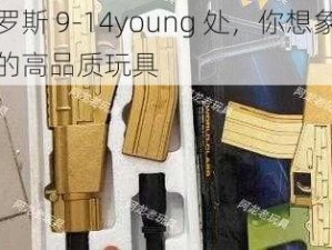 俄罗斯 9-14young 处，你想象不到的高品质玩具