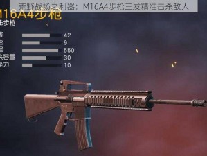 荒野战场之利器：M16A4步枪三发精准击杀敌人