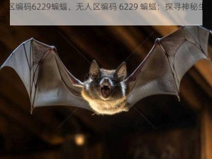 无人区编码6229蝙蝠、无人区编码 6229 蝙蝠：探寻神秘生物的足迹