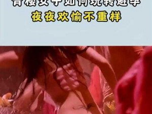 青楼传媒—青楼传媒：古代女子的职业生涯与情感世界