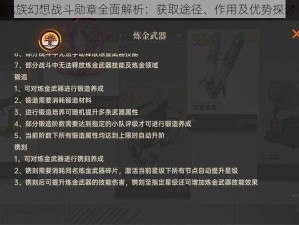 龙族幻想战斗勋章全面解析：获取途径、作用及优势探讨