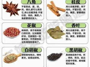 香料之魂：花椒胡椒八角与孜然的独特魅力与风味探索